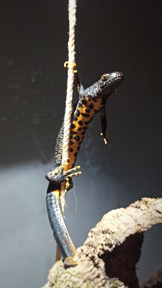 Photograph by Хабаров Сергей