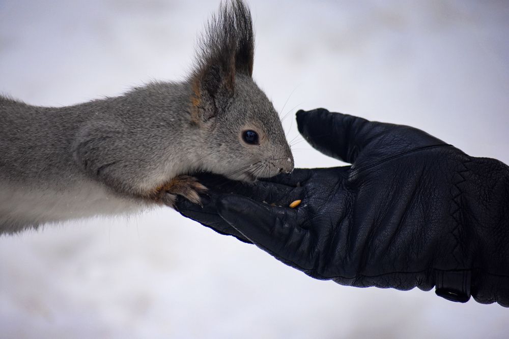 Photograph by Катрин Евстратова