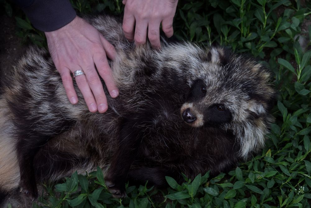 Photograph by Катрин Евстратова