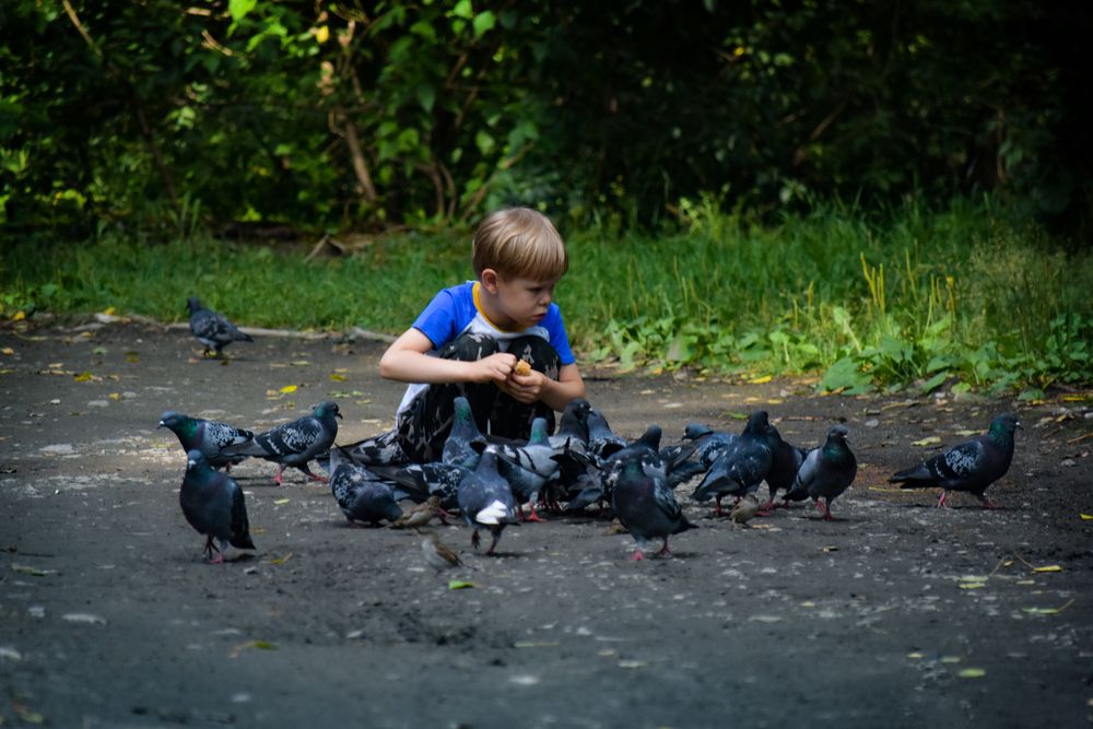 Photograph by Катрин Евстратова