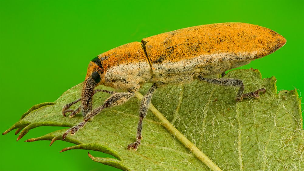 Photograph by Андрей Кривов