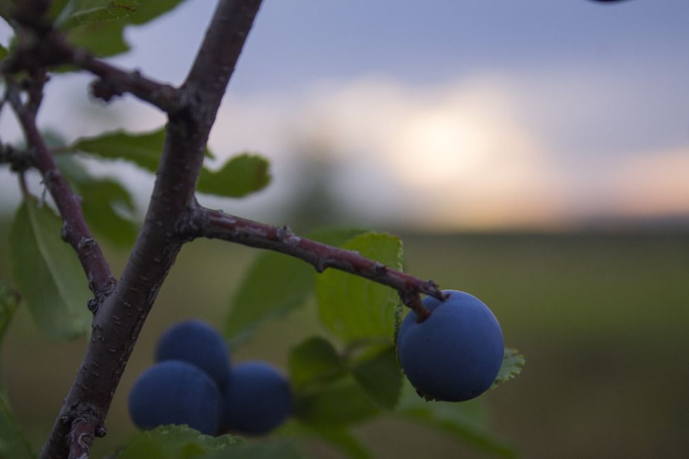 Photograph by Мария Бобылева