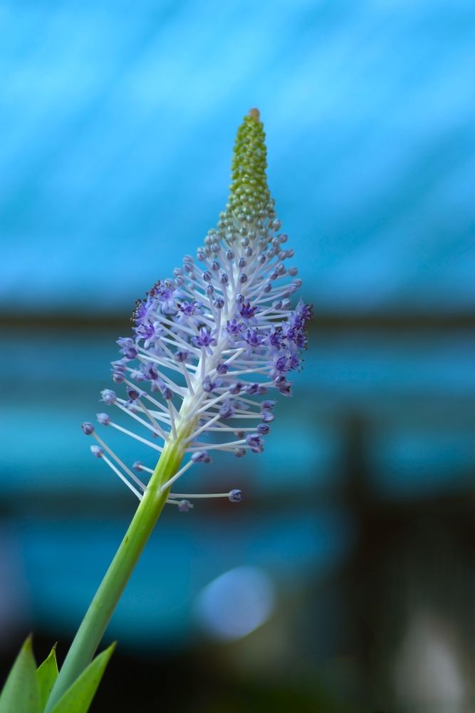 Photograph by Merav Zuberman Perkal