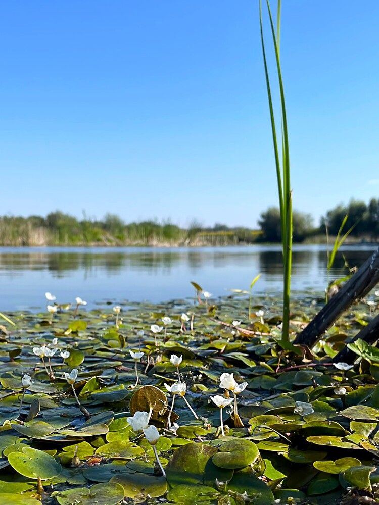 Photograph by Ольга Садилова