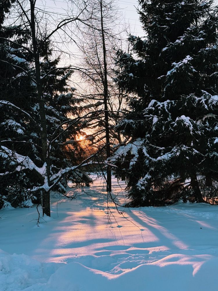 Фотография автора Евгения Сычкова