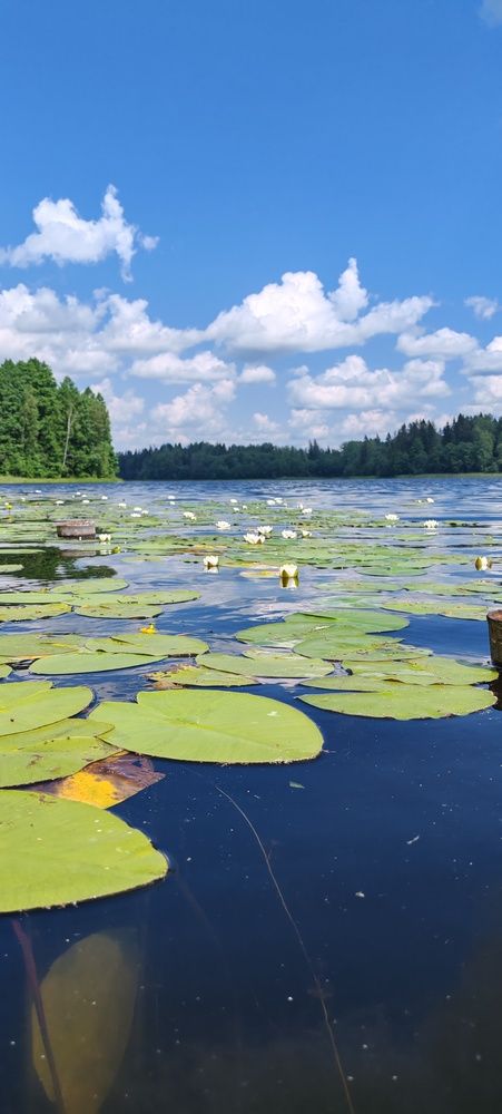 Photograph by Светлана Васильева