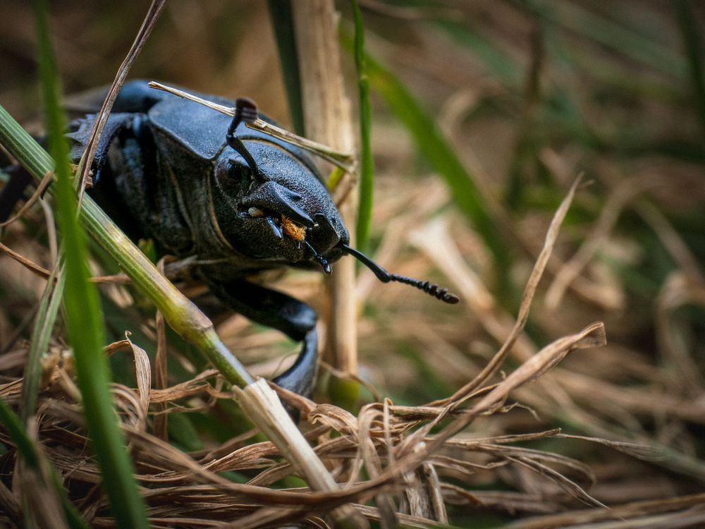 Photograph by Gergely Janovszky