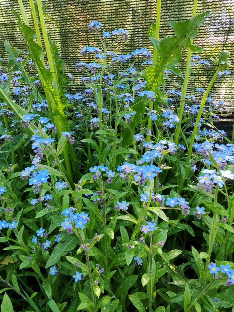 Photograph by Светлана Васильева