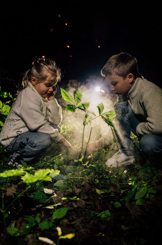 Photograph by Евгения Чернова