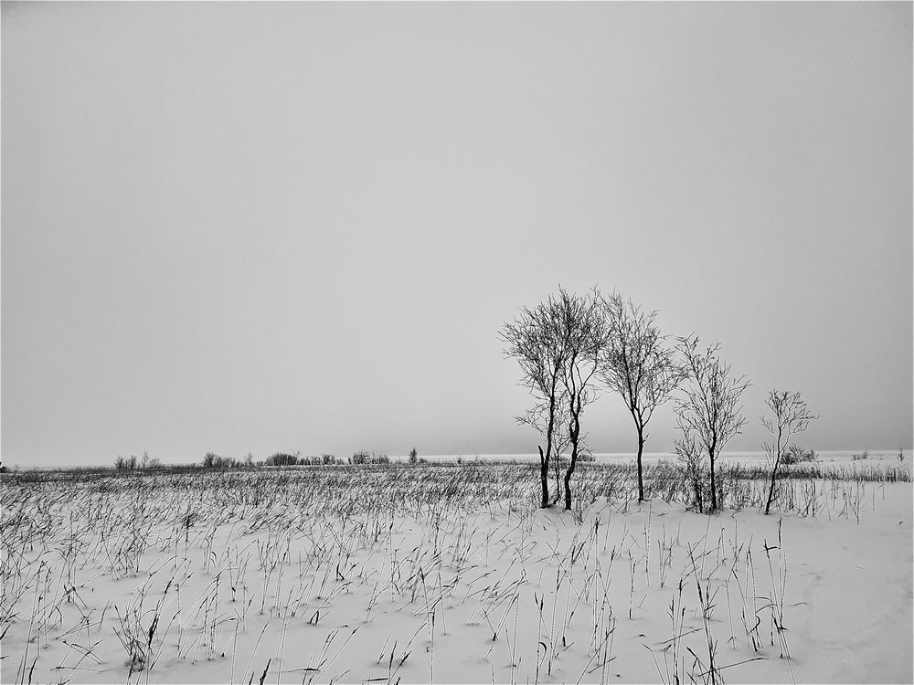 Photograph by Светлана Сипрова