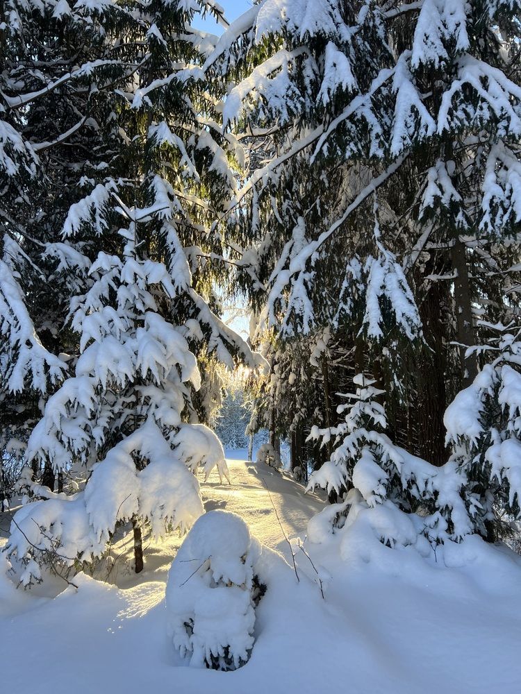 Photograph by Светлана Сипрова