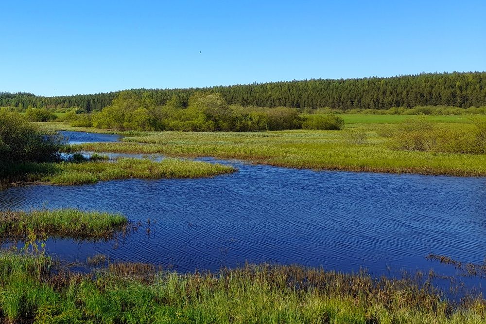 Photograph by Ольга Березовская