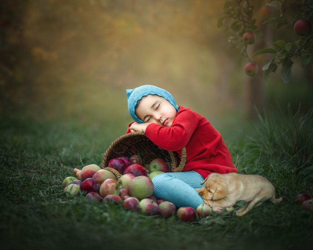 Photograph by Meilleurs Moments