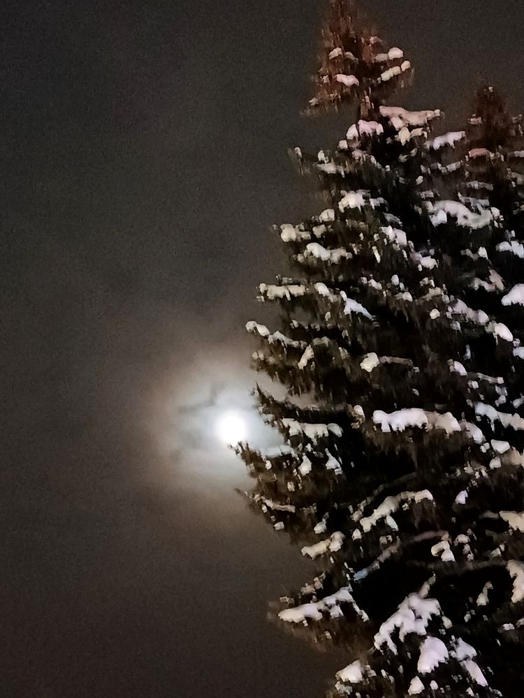 Photograph by ЮЛИЯ ОБРОКОВА