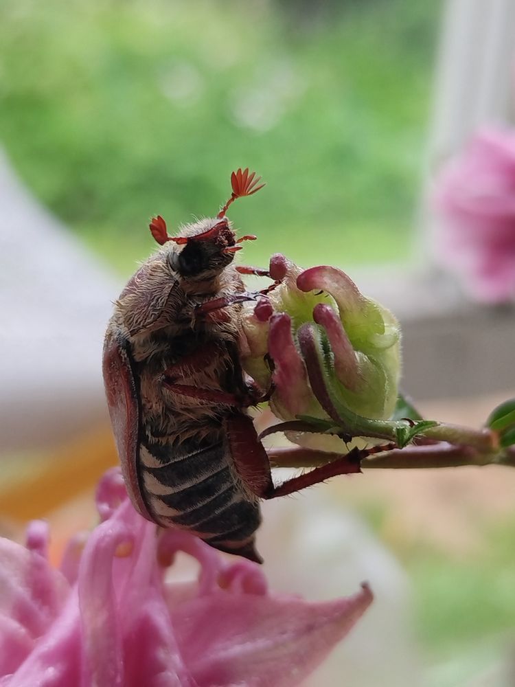 Photograph by Татьяна