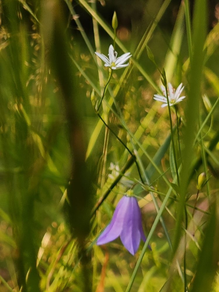 Photograph by Татьяна