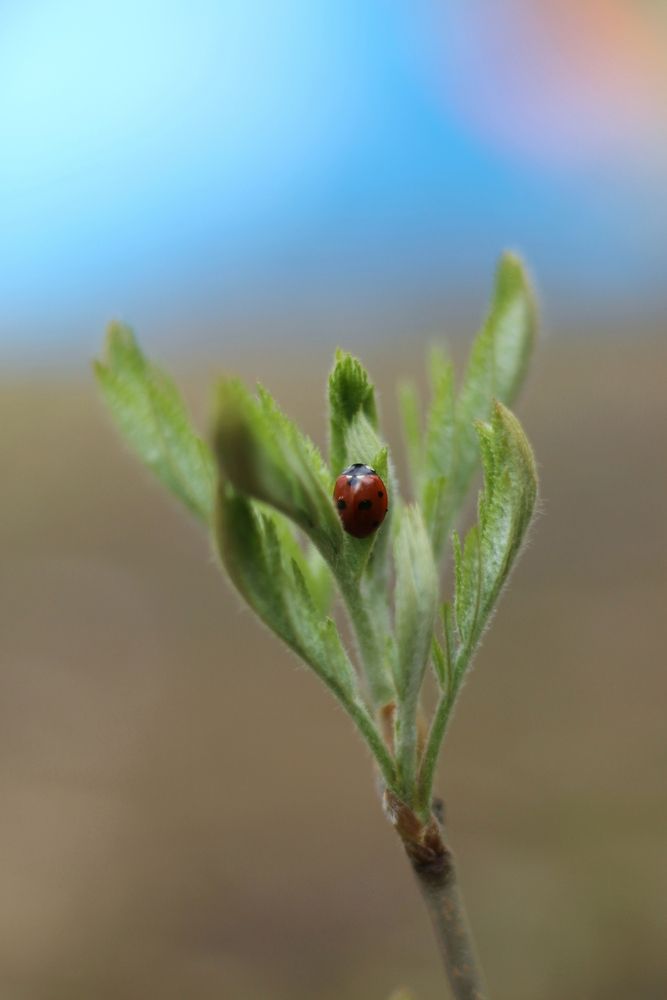 Photograph by Антон Иванов