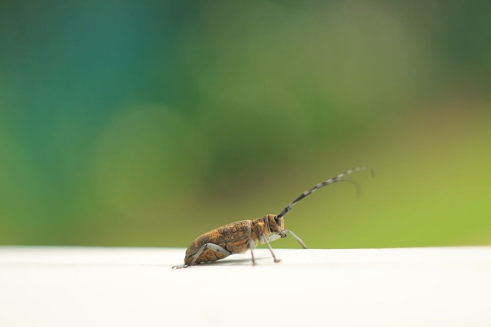 Photograph by Антон Иванов