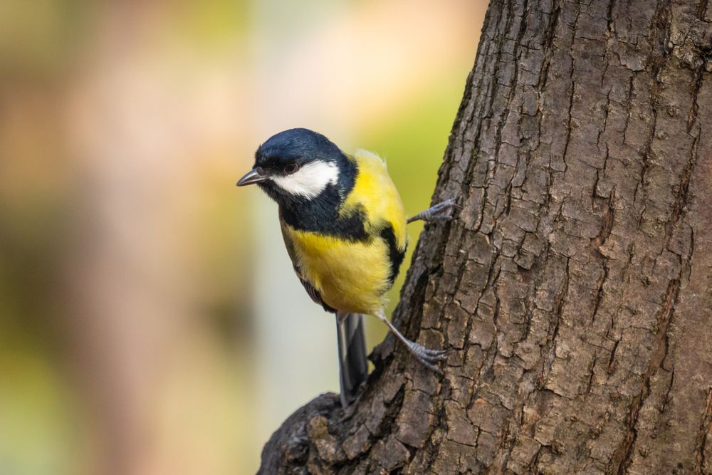 Фотография автора Виталий Панченко