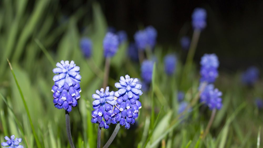 Фотография автора Сергей Кравцов