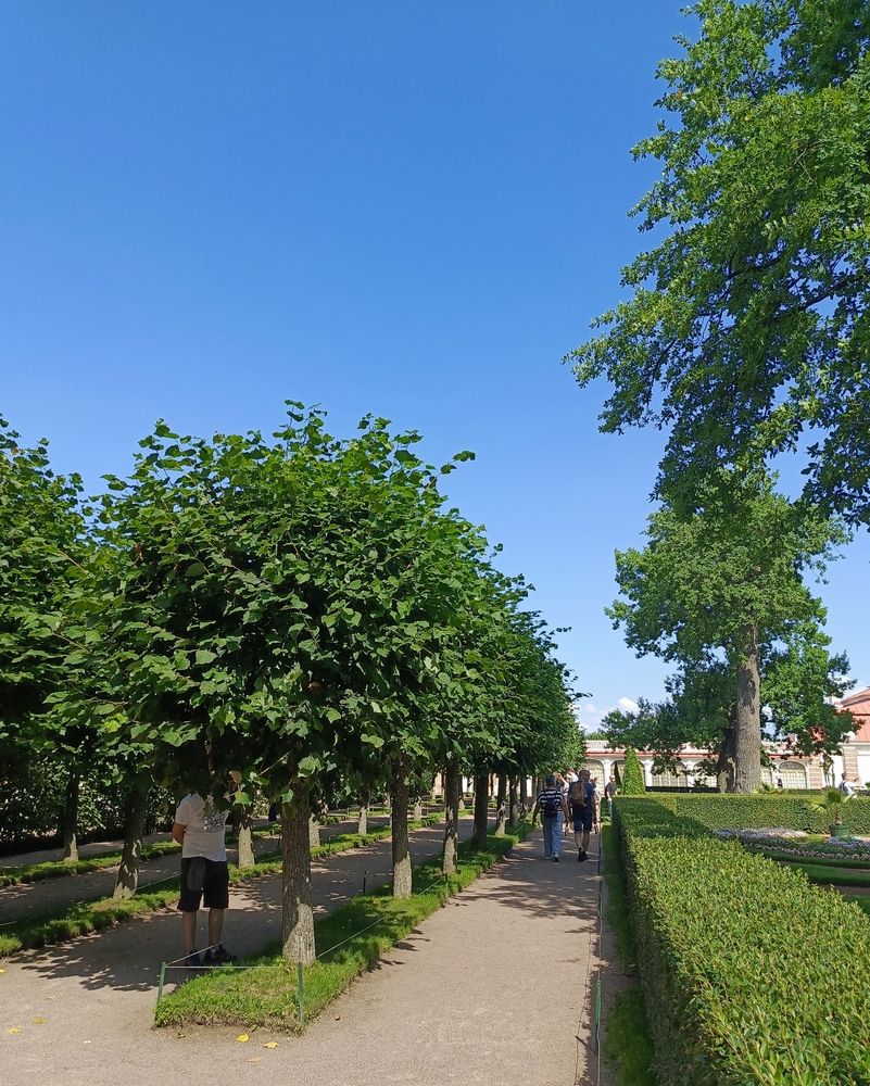 Фотография автора Галина Санчирова