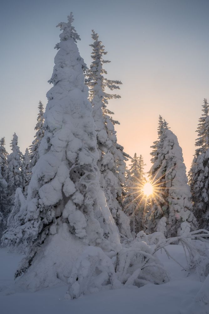 Фотография автора Михаил Широбоков