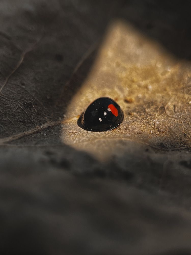 Photograph by Елена Михалева