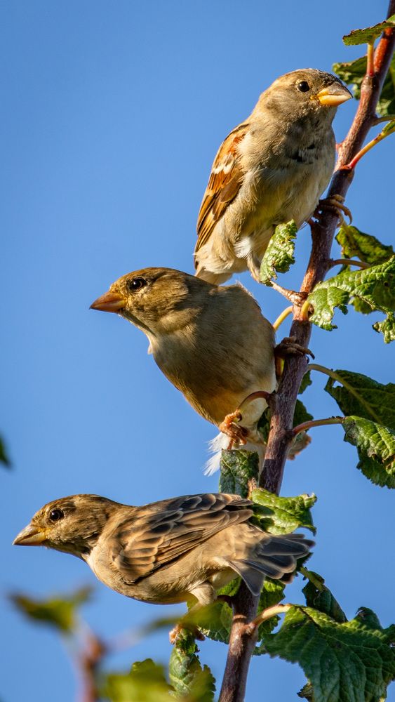 Фотография автора Виталий Панченко