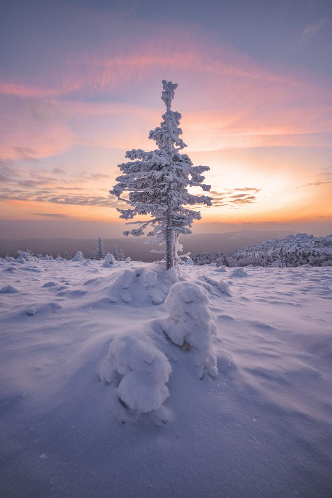 Фотография автора Михаил Широбоков