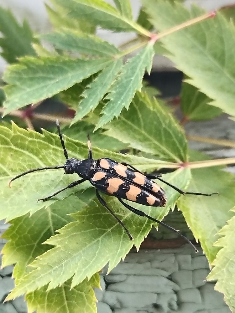 Photograph by Татьяна