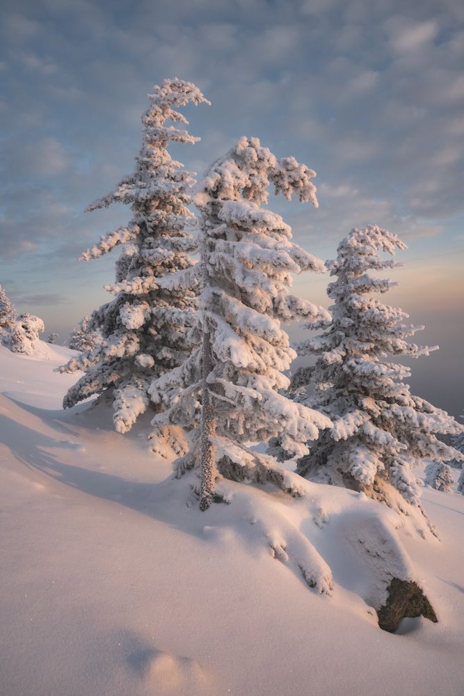 Фотография автора Михаил Широбоков