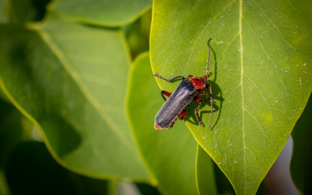 Фотография автора Виталий Панченко