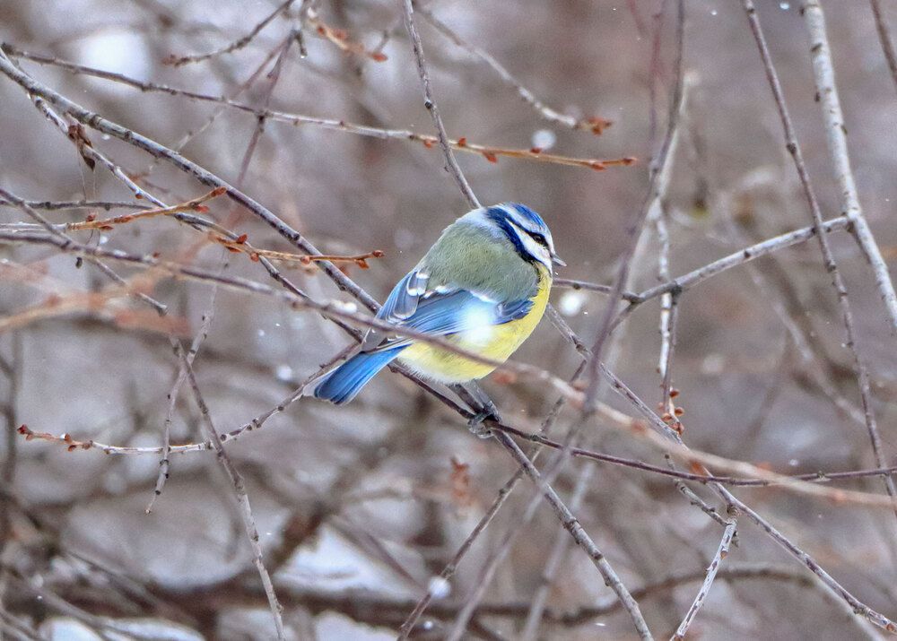 Photograph by Светлана Долотова