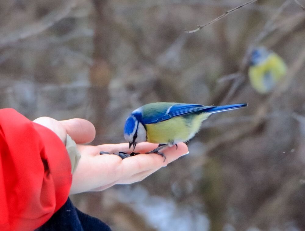 Photograph by Светлана Долотова