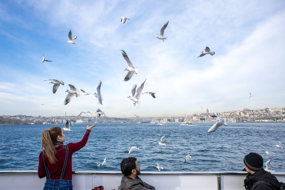 Photograph by Mehdi Zarei