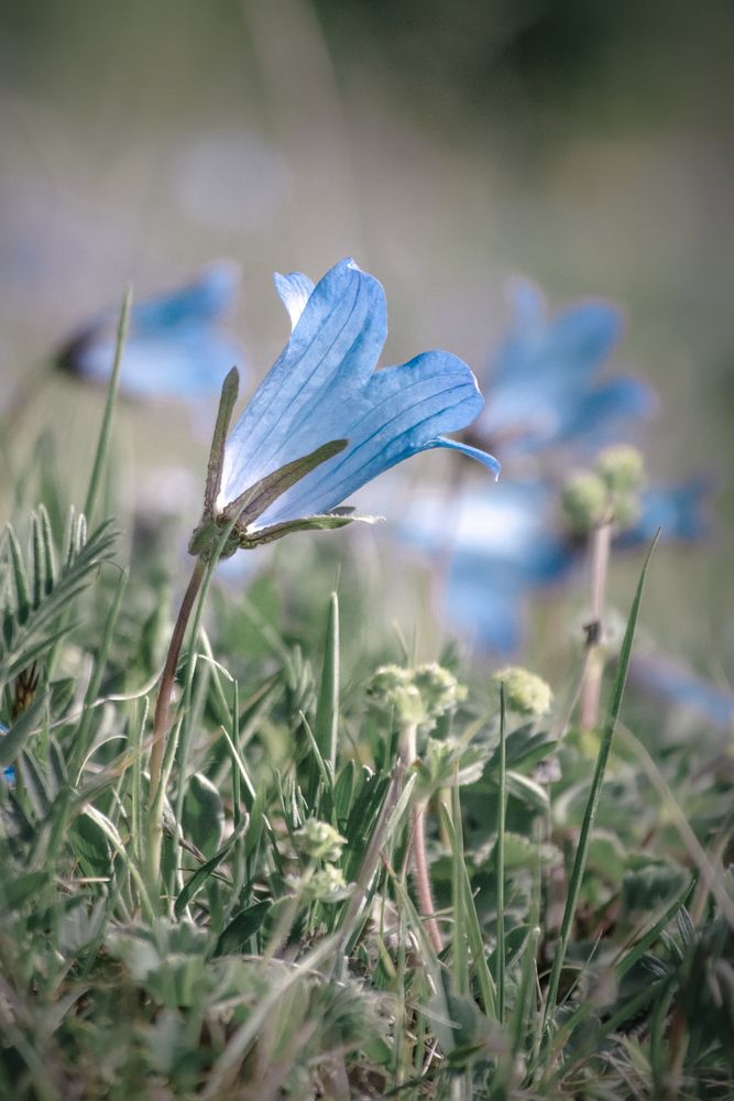 Фотография автора Олег Васильев