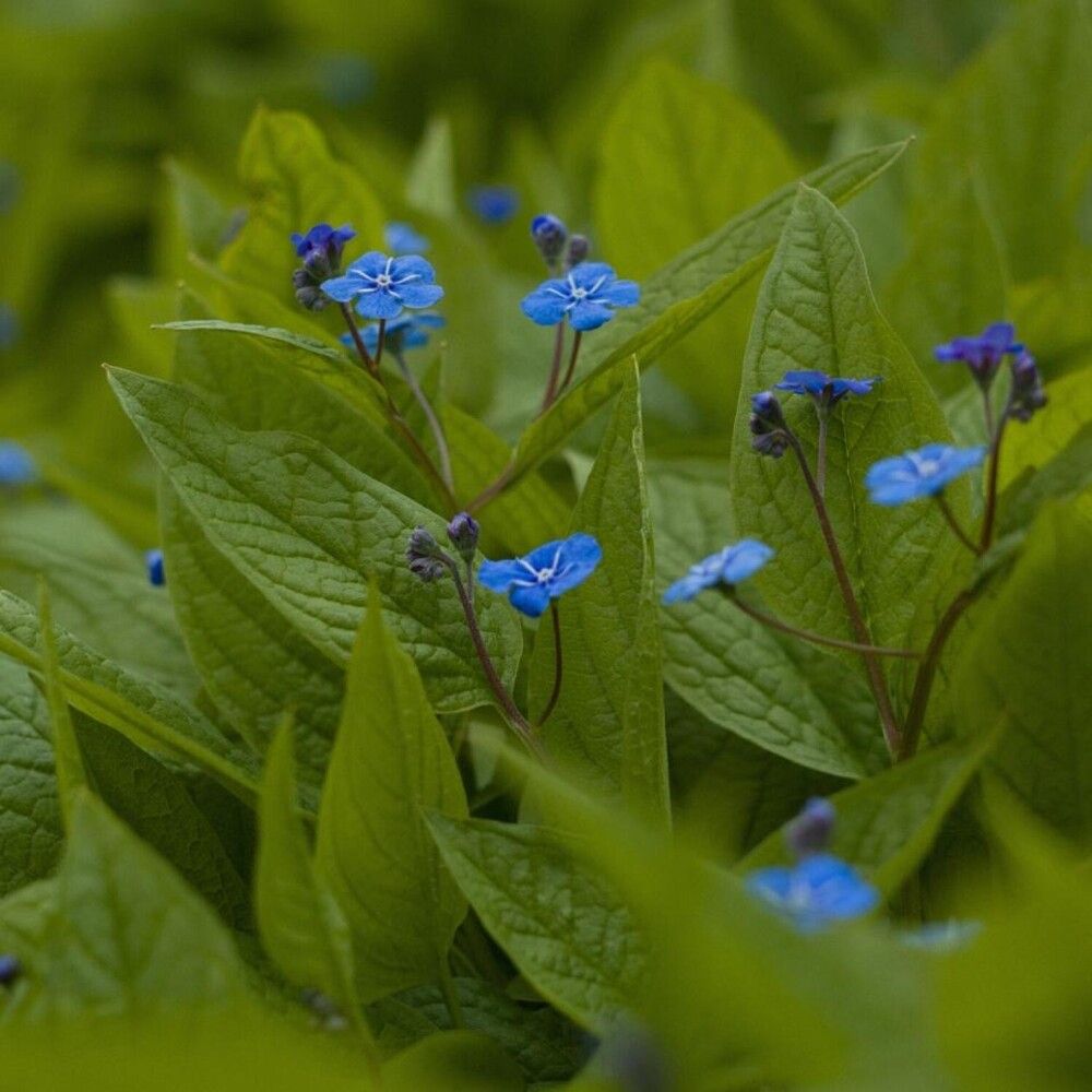 Фотография автора Надежда Надежда