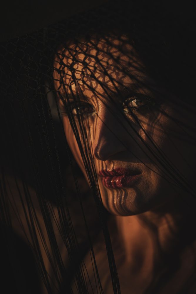 Photograph by Michal Bajor