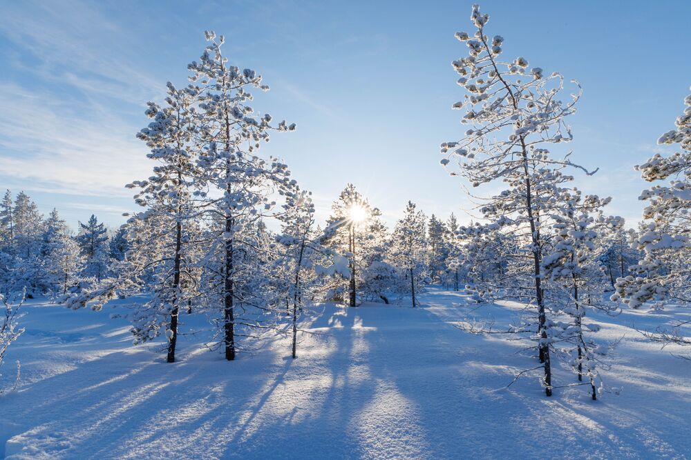 Окрестности Архангельска 2026г.