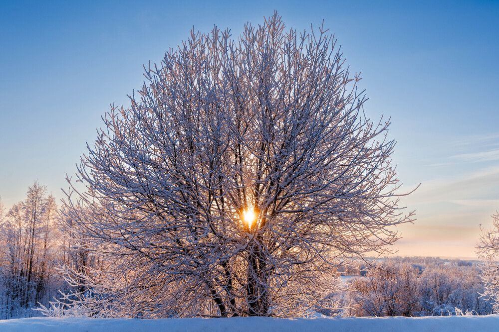 Окрестности Архангельска 2026г.