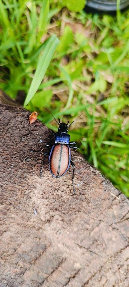 Photograph by СТЕПАН ДЖУЛАКИДЗЕ