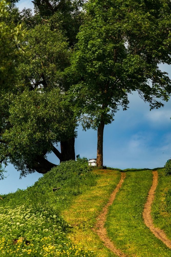 Фотография автора Aamoda Kitchen