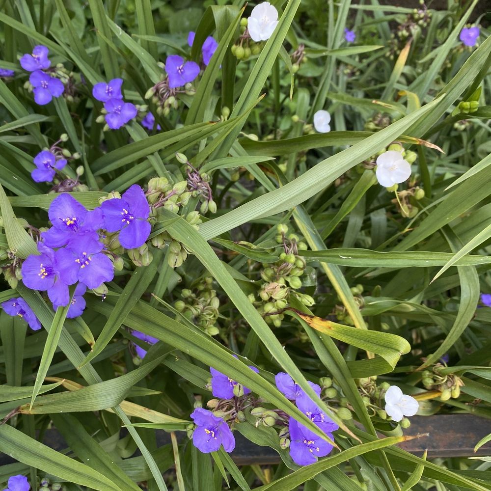 Photograph by Сергей Смирнов