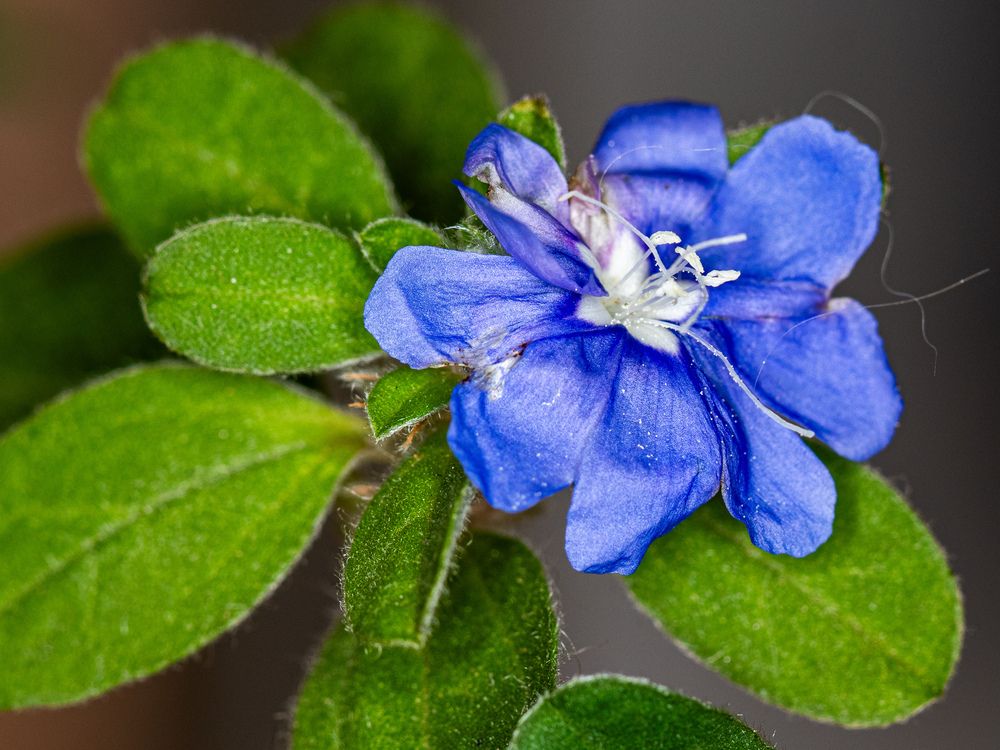 Photograph by Silvio José