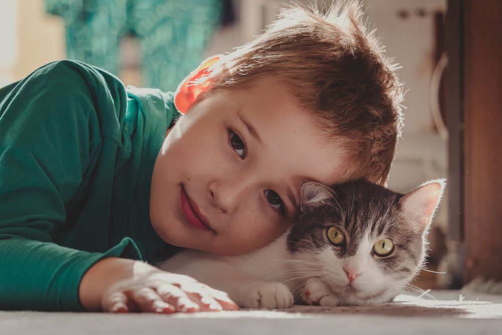 Фотография автора Виталий Панченко