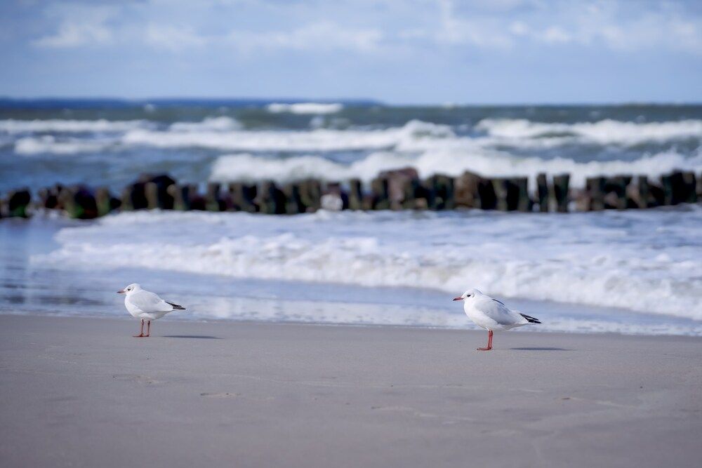 Photograph by Марина Суздаль