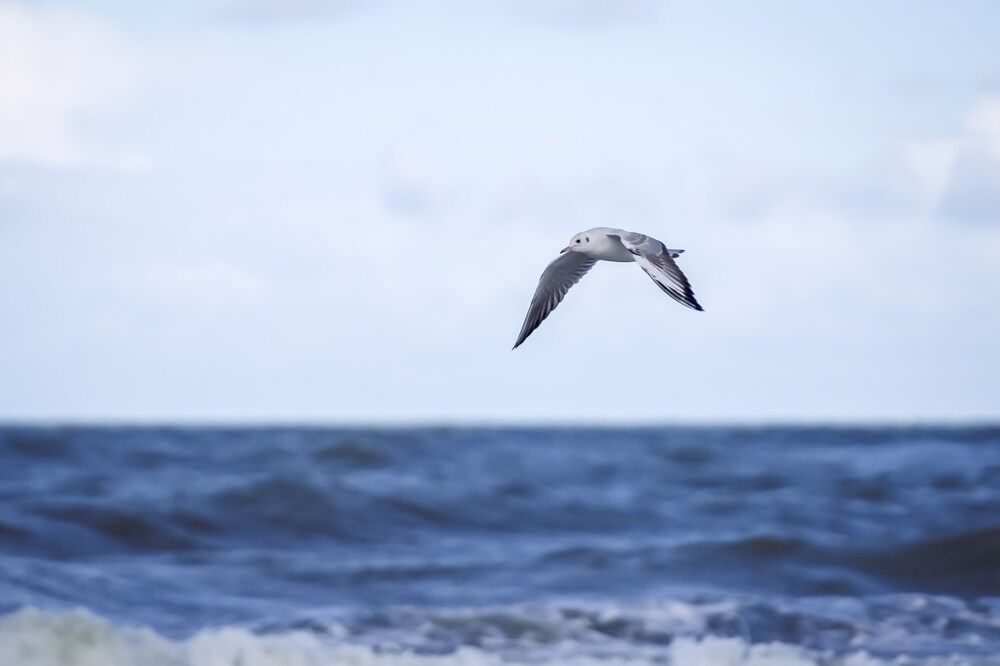 Photograph by Марина Суздаль