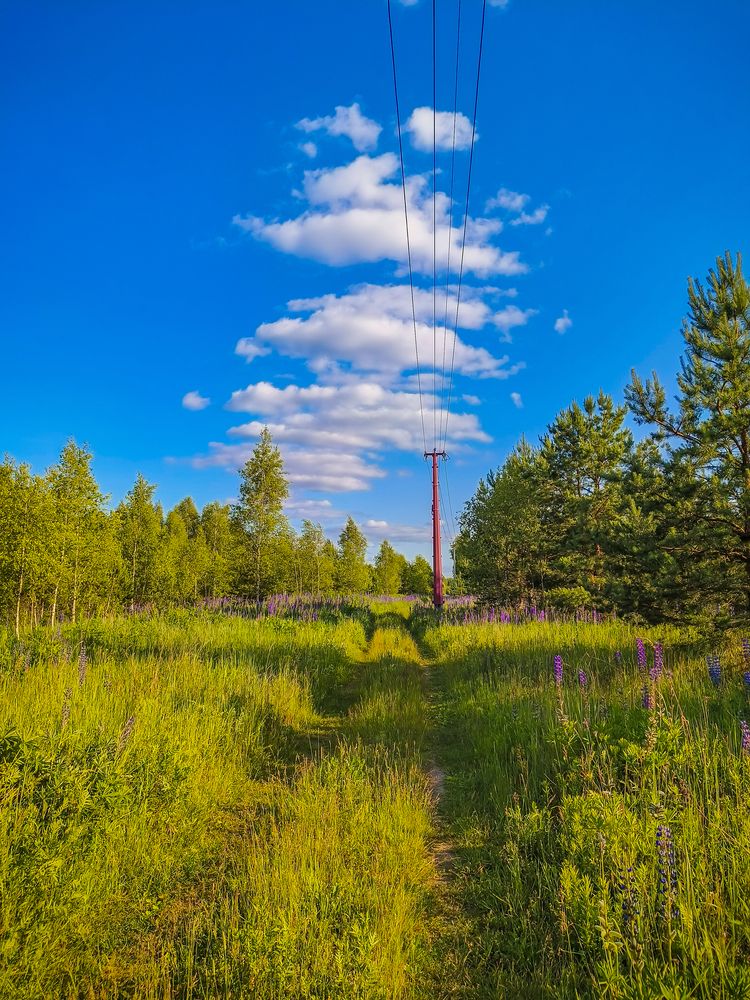Фотография автора Александр Хухлов