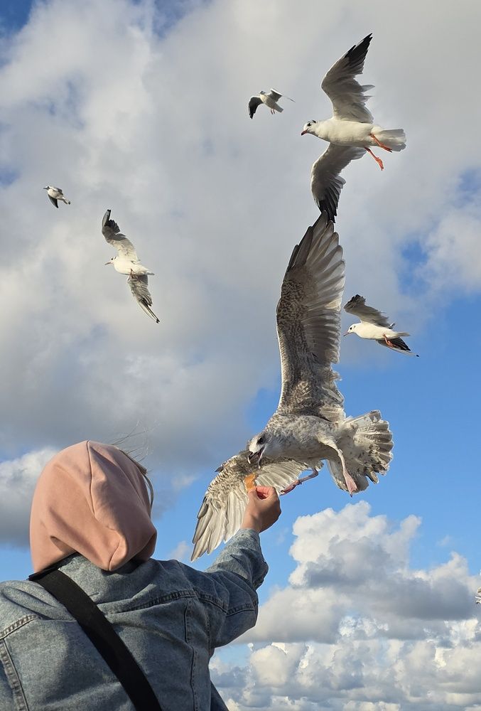 Photograph by Наталья Трофимова