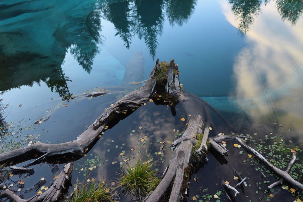 Photograph by Наталья Юрова